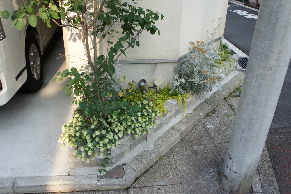 歩道わきにほっとするグリーン