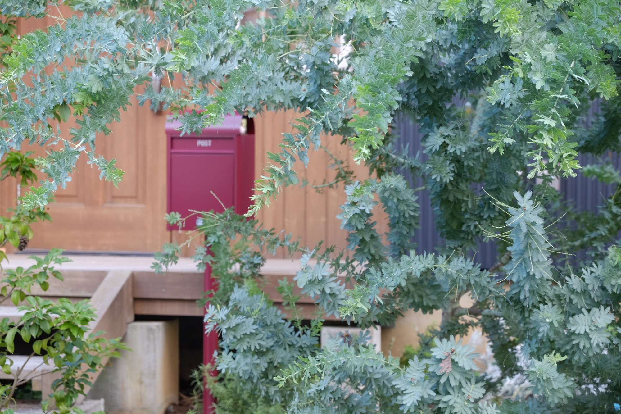 木々の合間から顔をのぞかせるポスト。