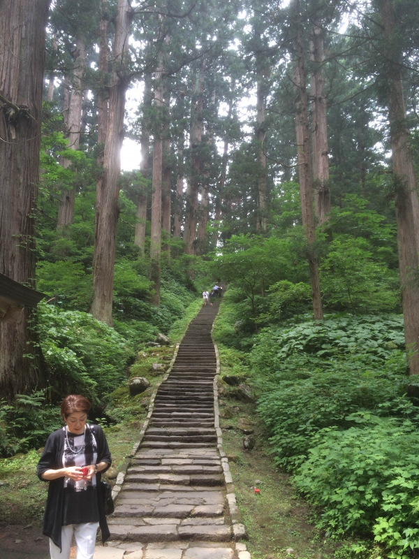 No.1019:山形・羽黒山の自然