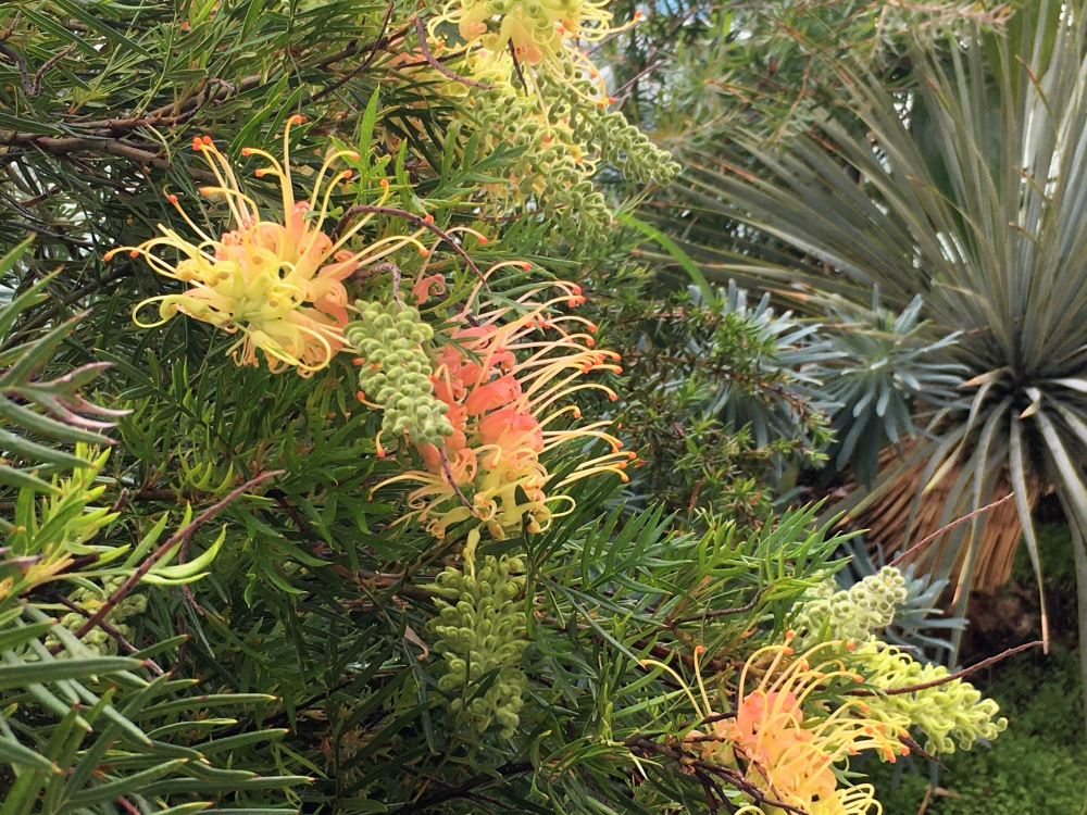 P4 ブログ エクステリア 外構造園 工事 横浜 風知蒼 P4 ブログ エクステリア 外構造園 工事 横浜 風知蒼