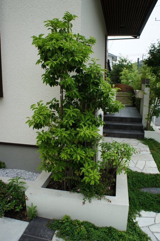 Japanese Modern Exterior Gallery Garden Landscape Design Fuchiso Inc