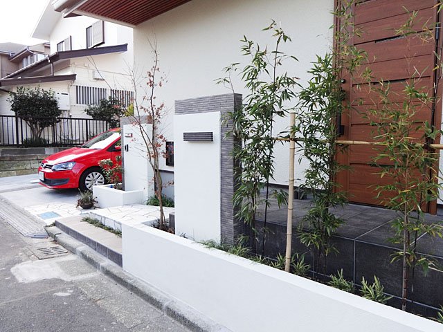 Japanese Maple Symbol Tree and Bamboo Hedge