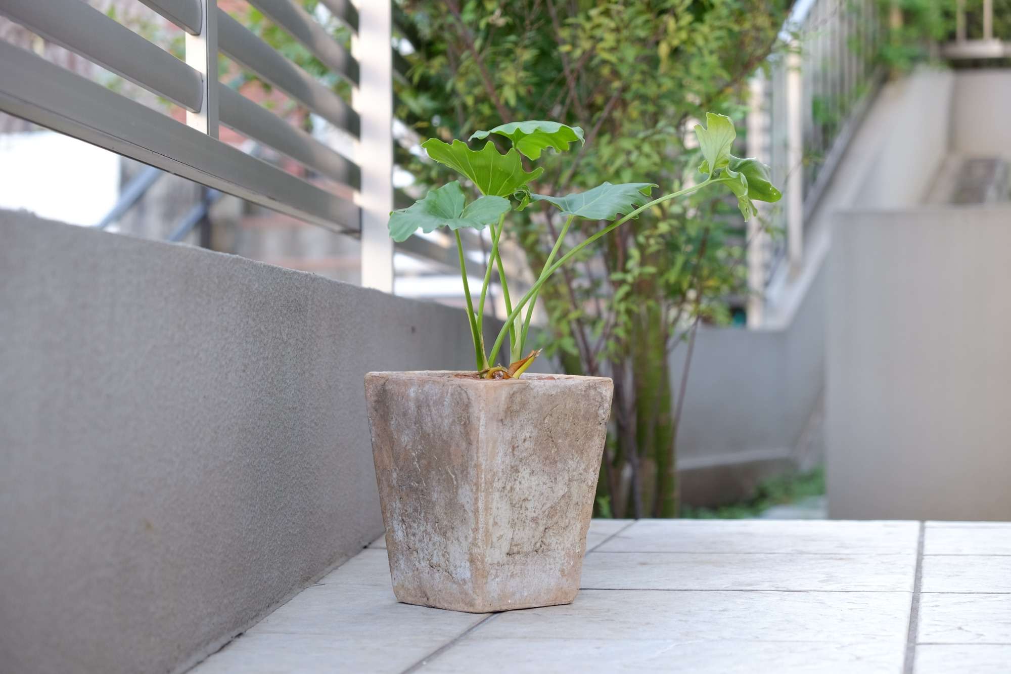 モザイクタイル壁