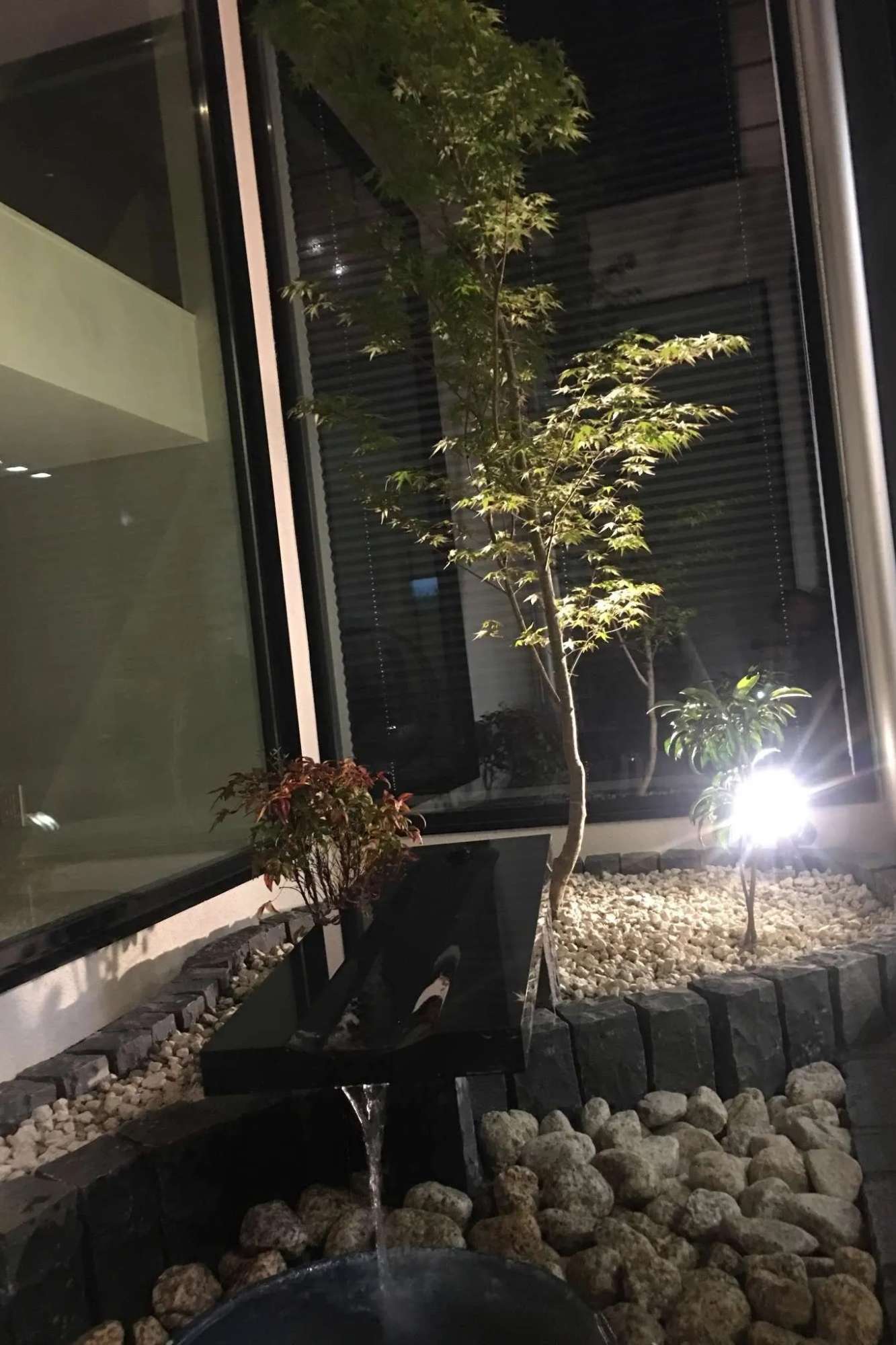 夜間のライトアップ