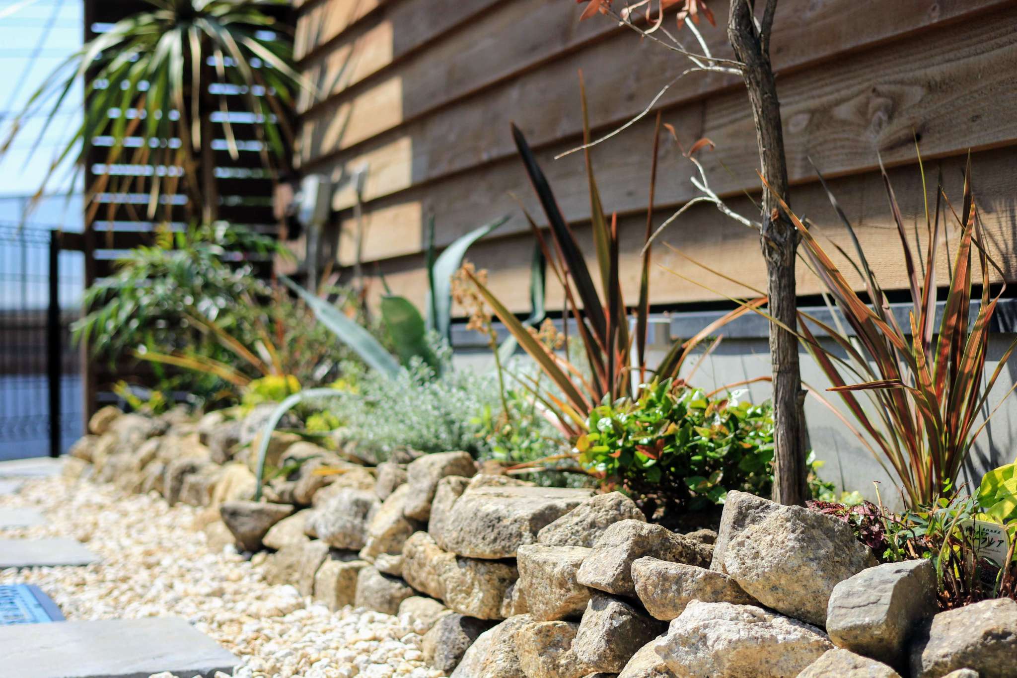 ごろた石積み、ニューサイラン、アガベ