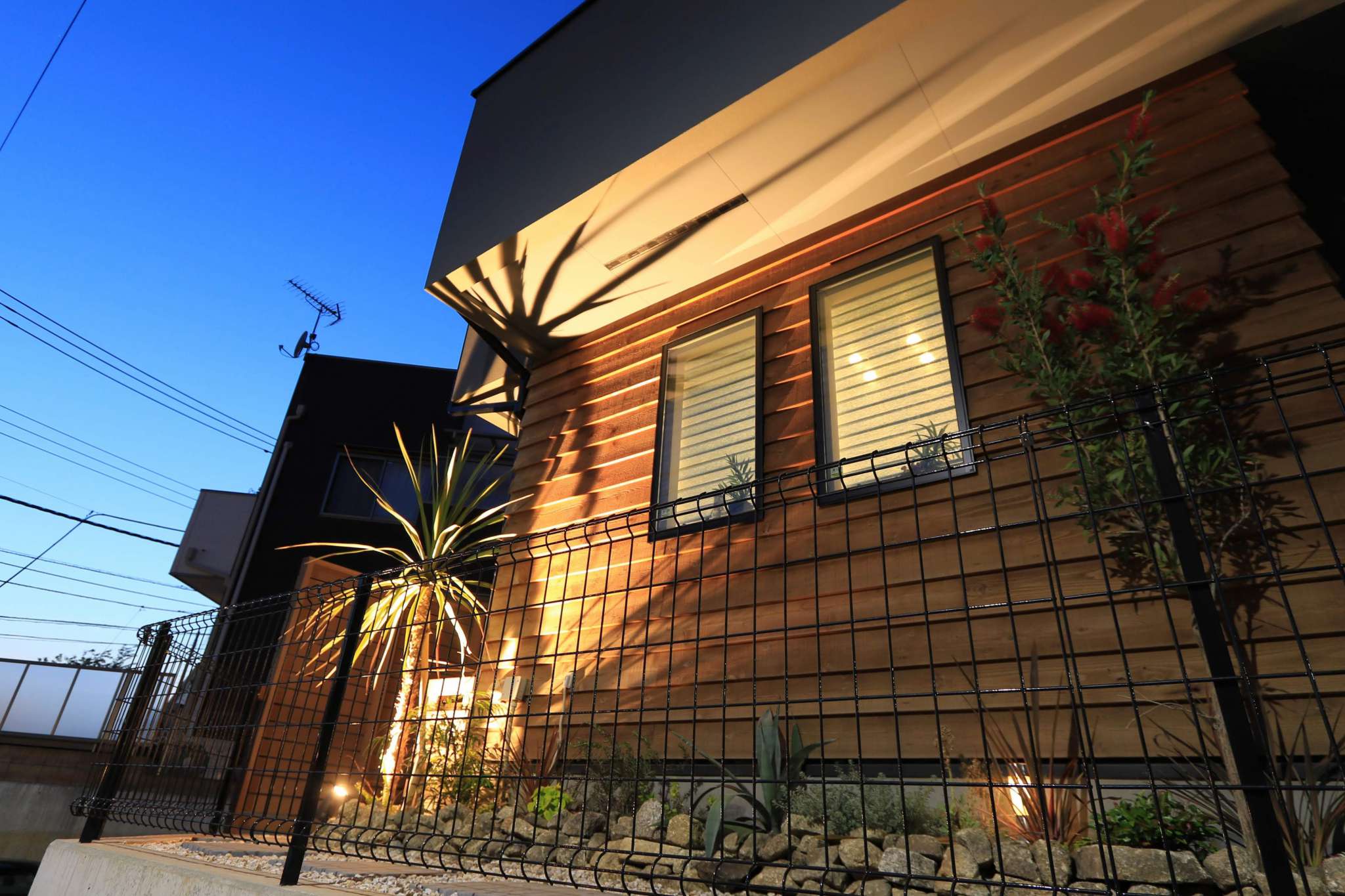 夕日とライトアップ