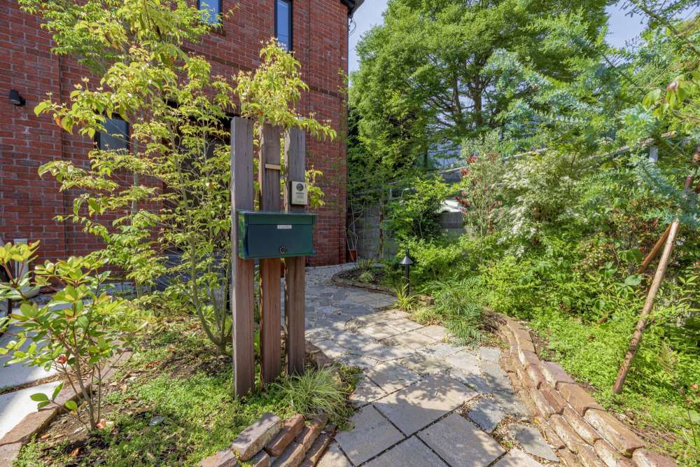 雑木のアプローチ