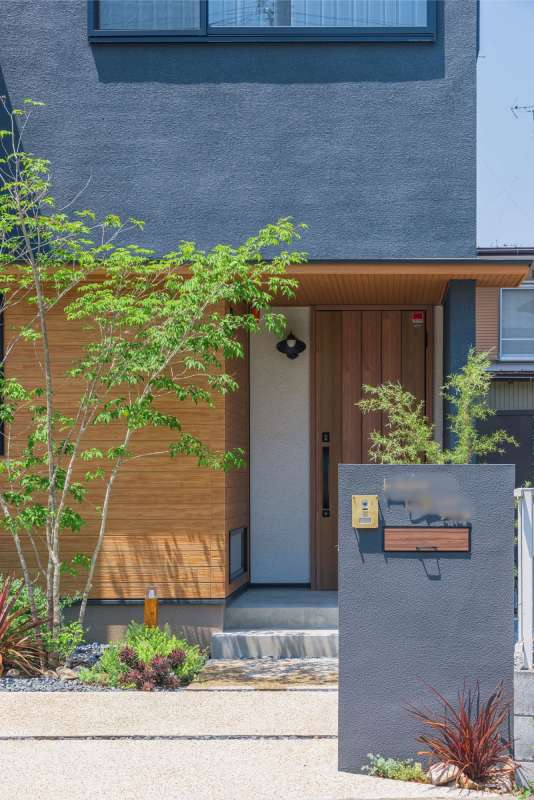 シンボルツリーのアオダモ