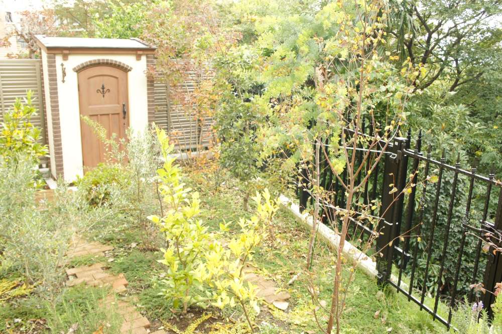 樹木を楽しむお庭